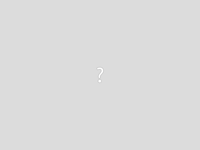resources/builtin/missing.png