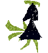 static/pet/walk1.webp